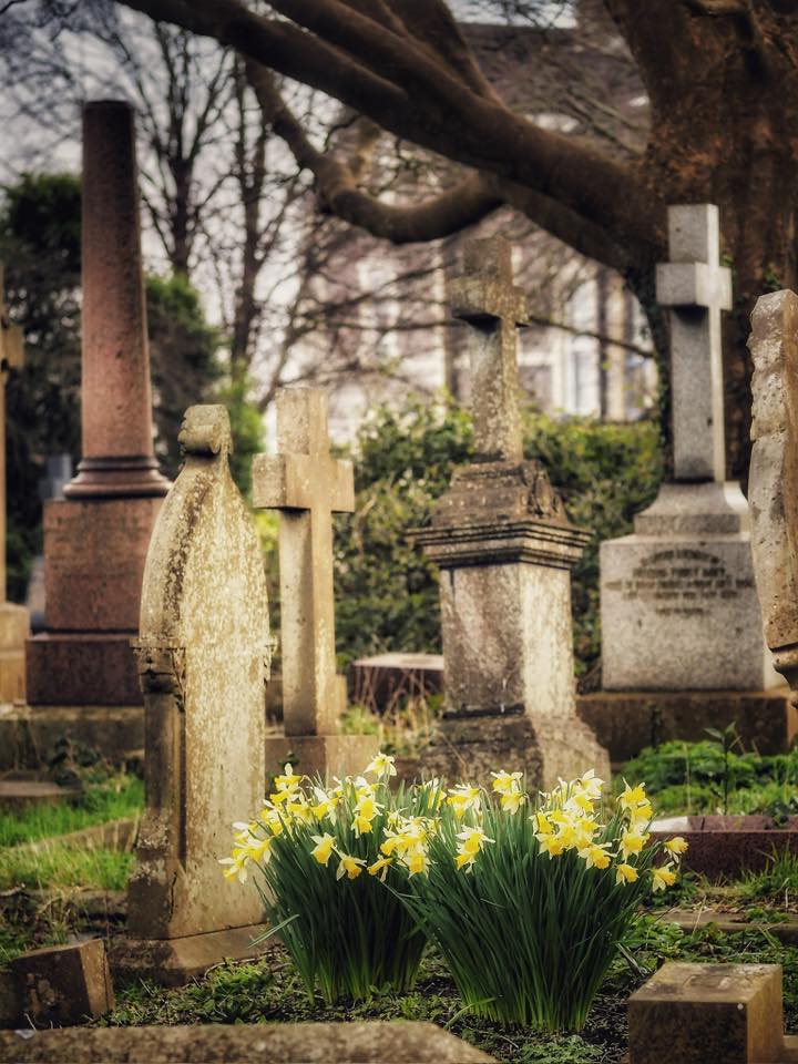 Historical records and monuments at Bayview Cemetery